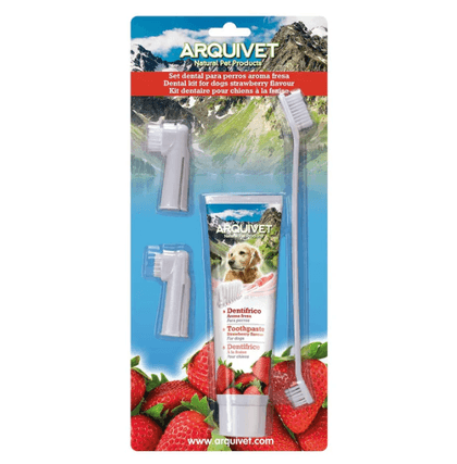 Conjunto Dentário Com Aroma Morango