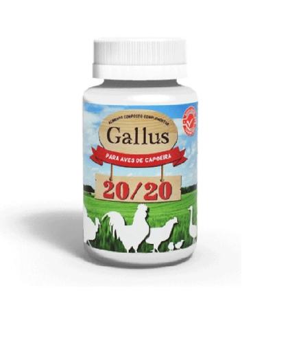 Gallus 20/20