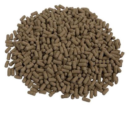 SELWOO ALIMENTO STICK TARTARUGA